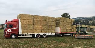Foin et travaux agricoles