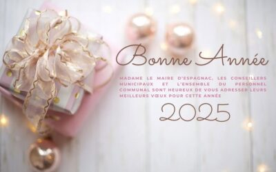 Bonne Année